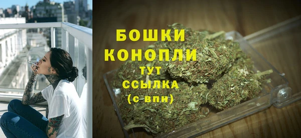 прущие грибы Дмитриев