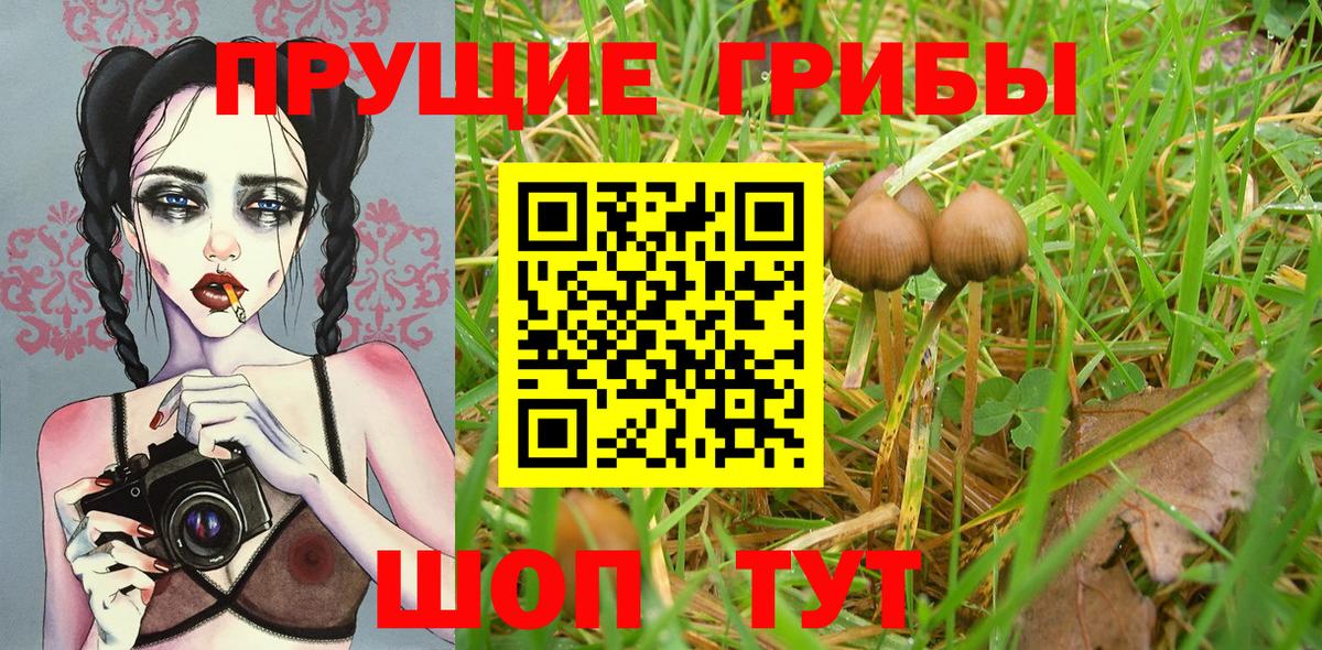 Псилоцибиновые грибы Psilocybe  Псилоцибиновые грибы Psilocybine cubensis  Похвистнево  Вход с VPN 